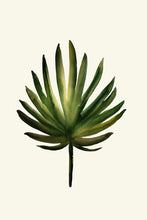 Load image into Gallery viewer, Palm Leaf I