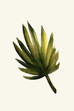 Load image into Gallery viewer, Palm Leaf II