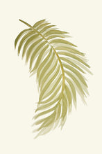 Load image into Gallery viewer, Palm Leaf III