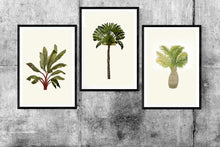 Load image into Gallery viewer, Palm Tree II