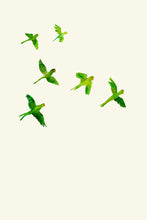 Load image into Gallery viewer, Parrots in Flight