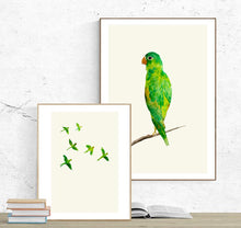 Load image into Gallery viewer, Parrots in Flight