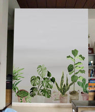 Load image into Gallery viewer, Indoor Plants