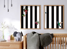 Load image into Gallery viewer, Sonata I and II