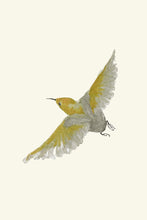 Load image into Gallery viewer, Tiny Bird I