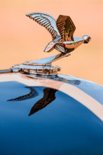 Load image into Gallery viewer, Vintage Peach