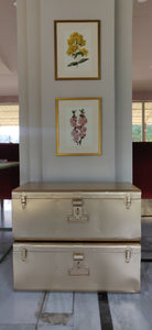 Trunk of Golden Memories