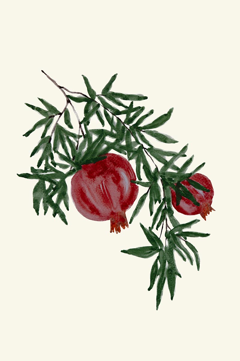 Pomegranate