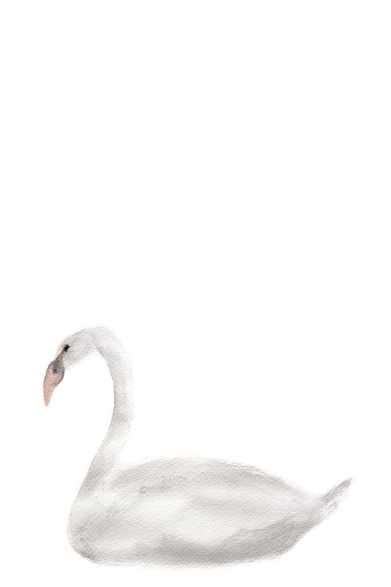 Swan I